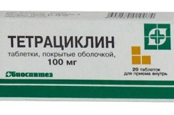 Тетрациклин для лечения микоплазмоза