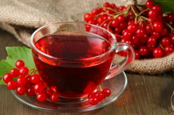 Чай из плодов калины для лечения генитального герпеса