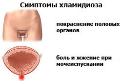 Хламидиоз - одна из причин кровянистых выделений после полового акта