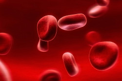 Кровь как инфекционный материал для заражения ВИЧ-инфекцией