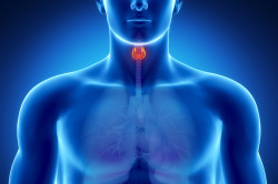 Заболевания щитовидки - противопоказание к применению антибиотиков